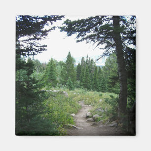 Aimant Grand Teton Trail