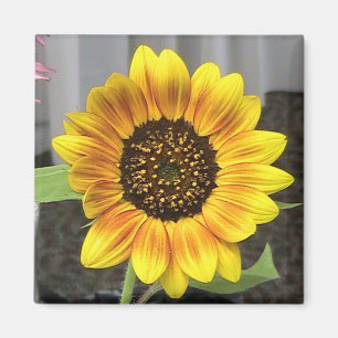 Aimant Grand tournesol design - rond ou carré