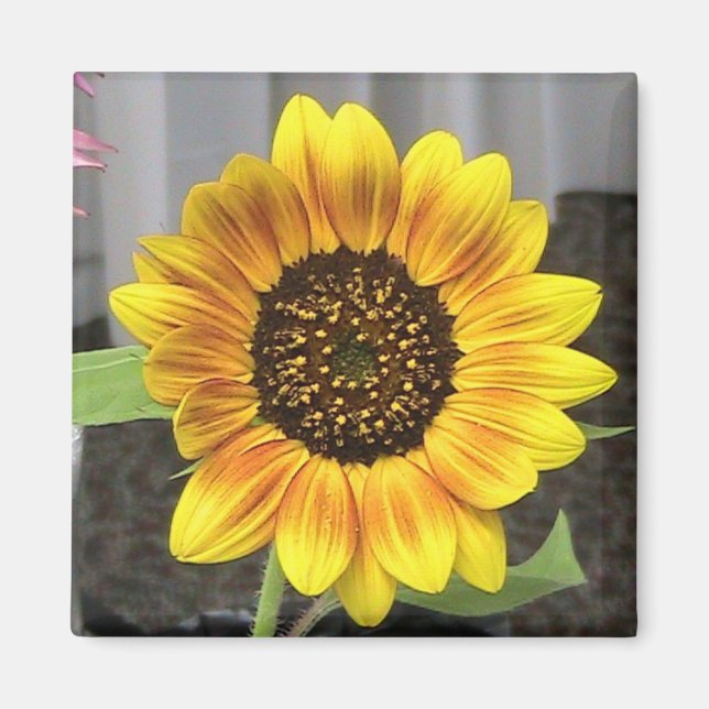 Aimant Grand tournesol design - rond ou carré (Devant)