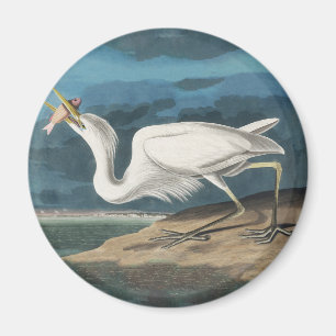 Aimant Grande Aigrette d'Audubon : Oiseau côtier vintage