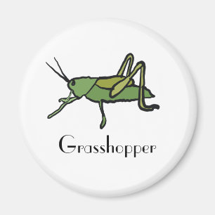 Aimant Grasshopper