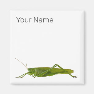 Aimant Grasshopper ou Hayhorse Retro Insect animal cadeau