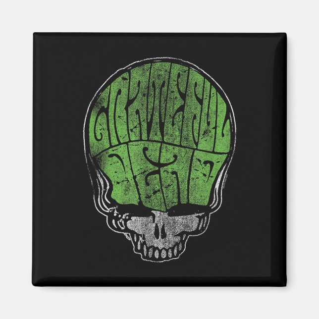Aimant Grateful Dead Psychedelic Green Stealie Skull Vint (Devant)