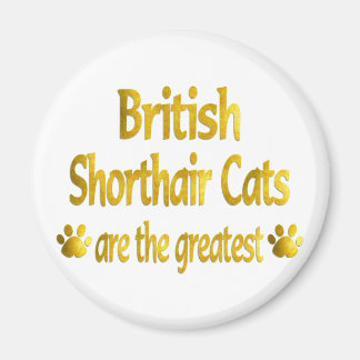 Aimant Great British Shorthair