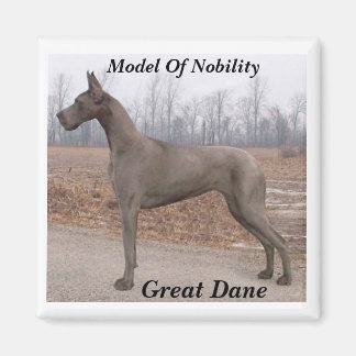 Aimant Great Dane, Modèle de l'aimant Noble