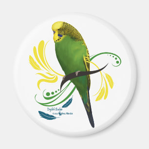 Aimant Green English Budgie
