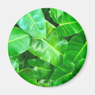 Aimant Green feuille Palm Leaf feuillage tropical jungle