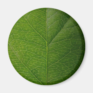 Aimant Green leaf