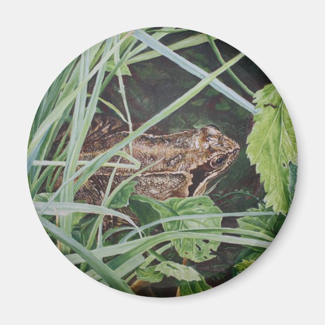 aimant grenouille (Devant)