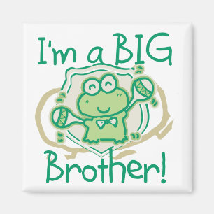 Aimant Grenouille Big Brother