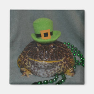 Aimant Grenouille mûre