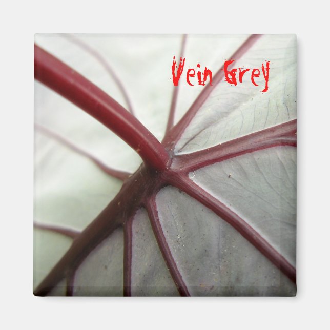 Aimant Grey Vein (Devant)