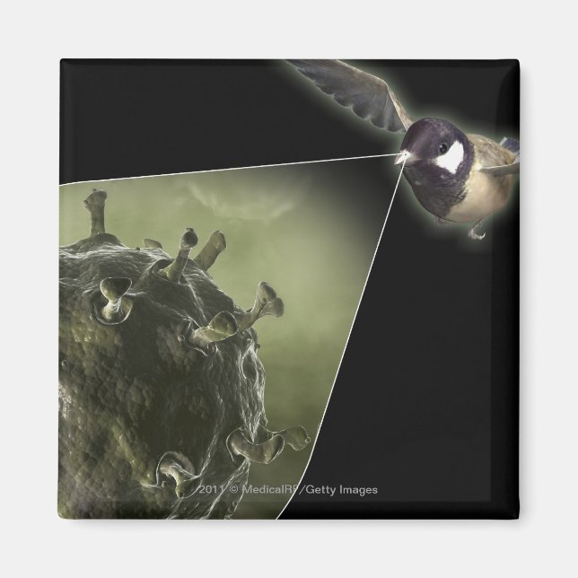 Aimant Grippe aviaire qui sort de l'oiseau (Devant)