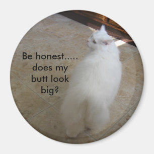 Aimant Gros cul ? - Pas de queue