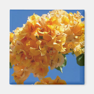 Aimant Groupe de bougainvilliers d'or Floral