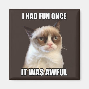 Aimant Grumpy Cat - Je me suis amusé une fois