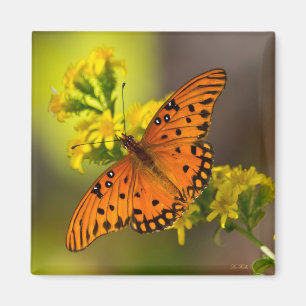 Aimant Gulf Fritillary ou Passion Butterfly sur Verge d'O