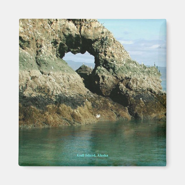 Aimant Gull Island, Alaska (Devant)