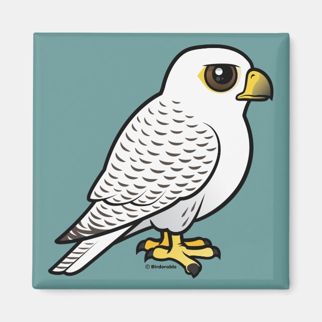 Aimant Gyrfalcon (Devant)