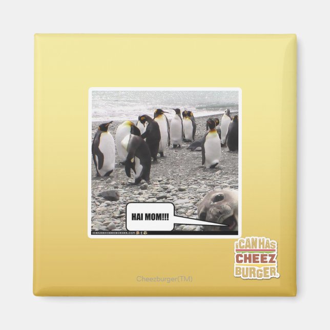 AIMANT HAI MOM ! ! ! (Devant)