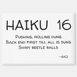 AIMANT HAIKU 16