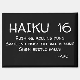 AIMANT HAIKU 16