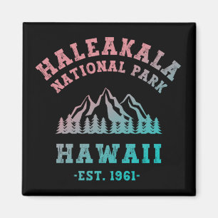 Aimant Haleakala National Park Hawaii Gradient