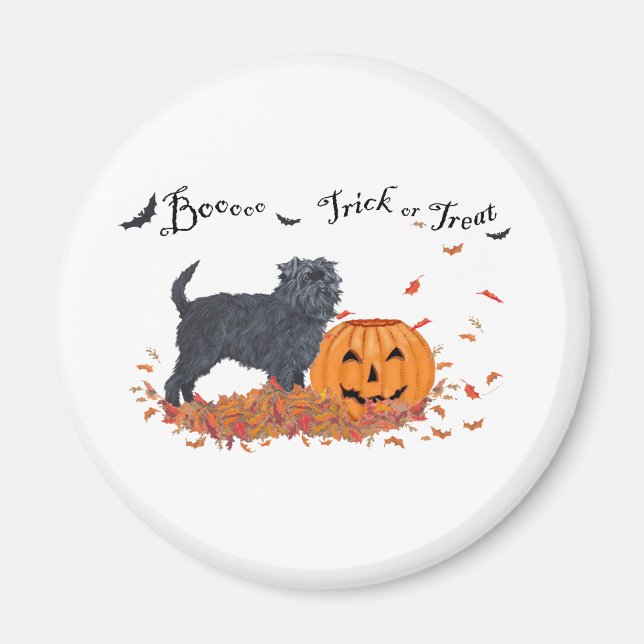 Aimant Halloween Affenpinscher (Devant)