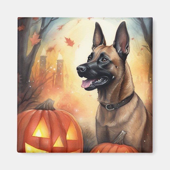 Aimant Halloween Malinoi Belge Avec Peur Citrouille (Devant)