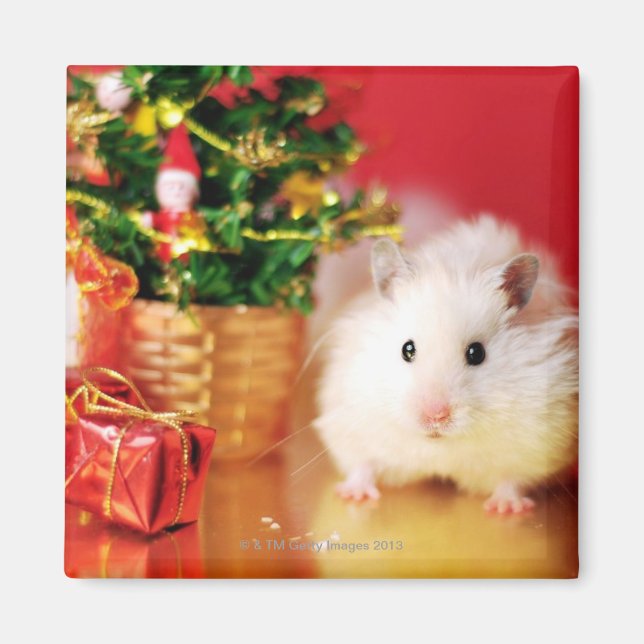 Aimant Hamster Kokolinka avec arbre de Noël (Devant)