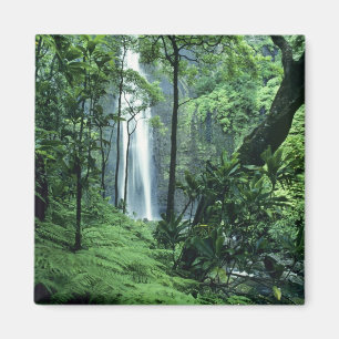 Aimant Hanakapiai Chutes le long de la côte Na Pali, Kaua