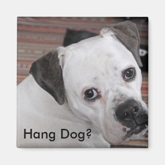 Aimant Hang Dog ?