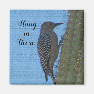 Aimant Hang in There Encourageant Pic et Cactus