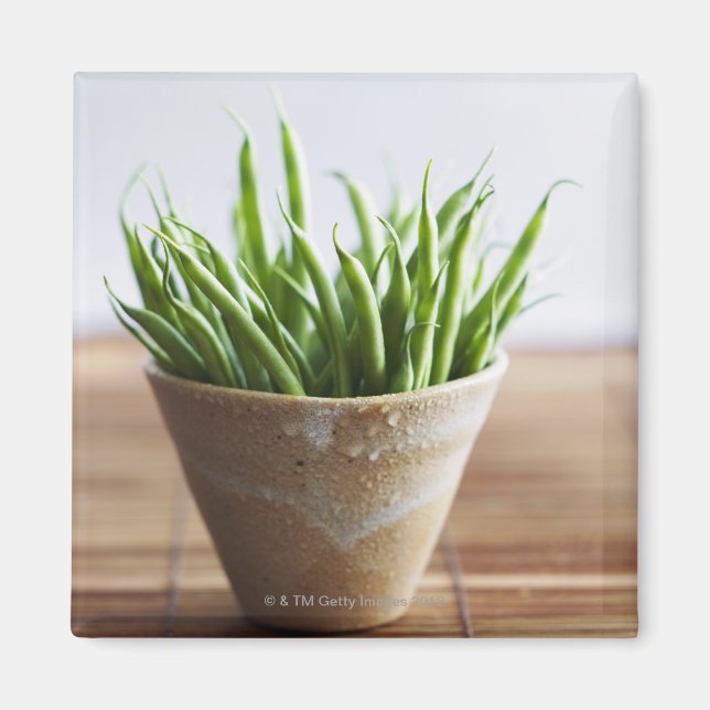 Aimant Haricots verts en pot sur la surface du bambou (Devant)