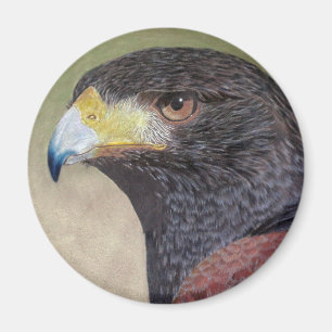 Aimant Harris Hawk-cp