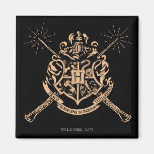 Aimant Harry Potter Hogwarts Crossed Wands Crest