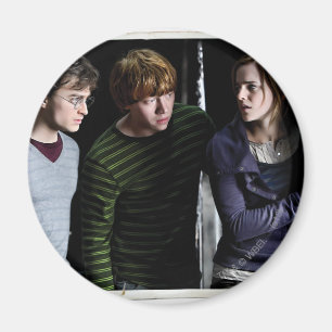 Aimant Harry, Ron et Hermione 4