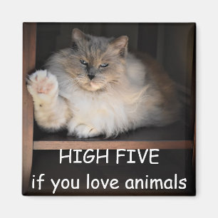 Aimant HAUT CINQ si vous aimez les animaux,
