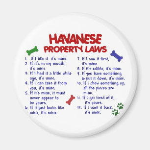 Aimant HAVANESE, lois sur la propriété 2