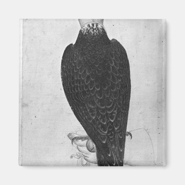 Aimant Hawk à portée de main (Devant)