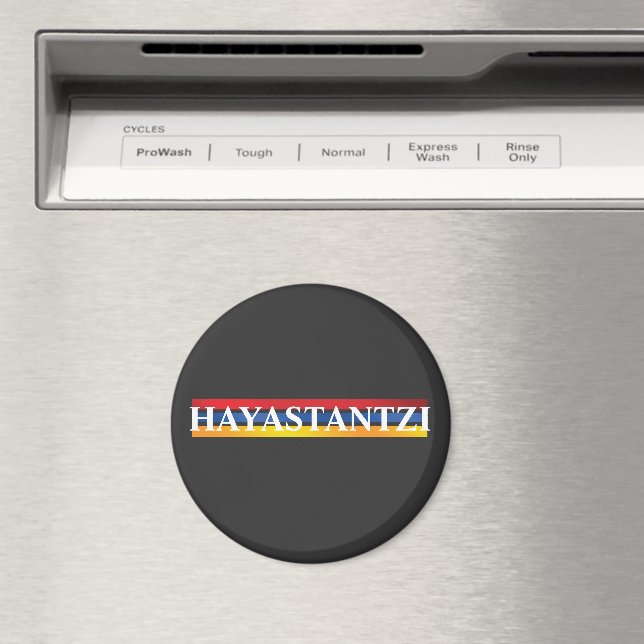 Aimant Hayastantzi (In Situ (Lave-vaisselle))