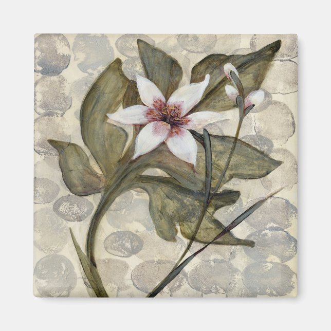 Aimant HAZ26 Amazonia 4.tif (Devant)