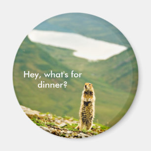 Aimant Hé, qu'est pour le dîner ?