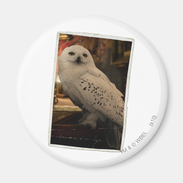 Aimant Hedwig 3 (Devant)