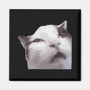Aimant Hein ! Mème de chat