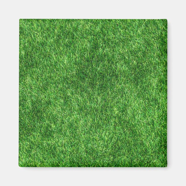 Aimant Herbe verte (Devant)