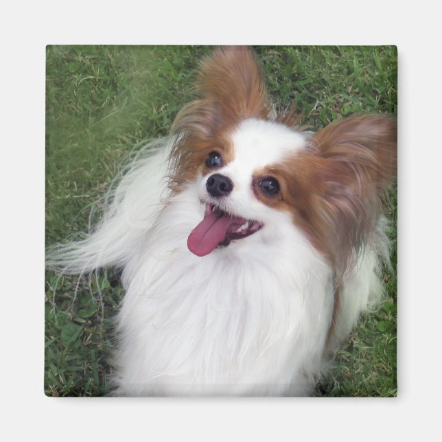 Aimant Hershey Kiss Hero Kennel Merchandise (Devant)