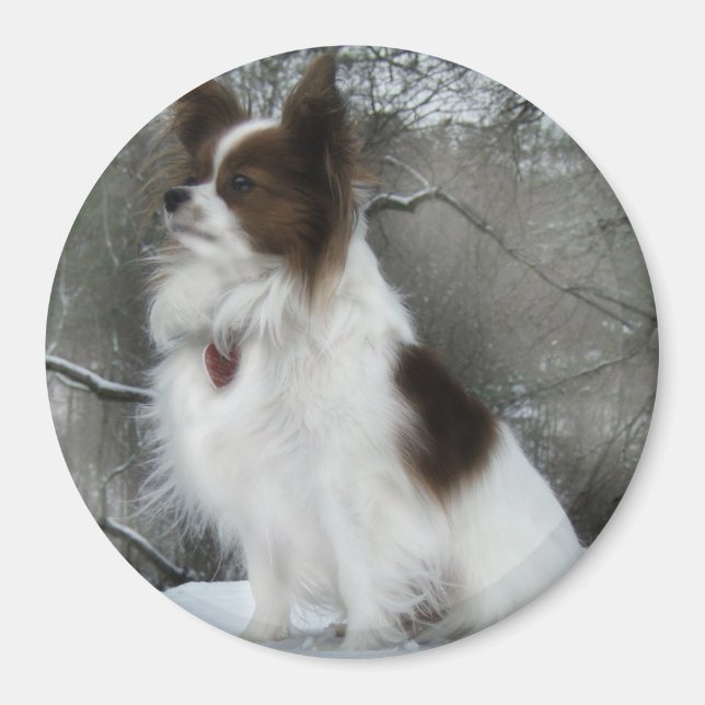 Aimant Hershey Kiss Hero Kennel Merchandise (Devant)