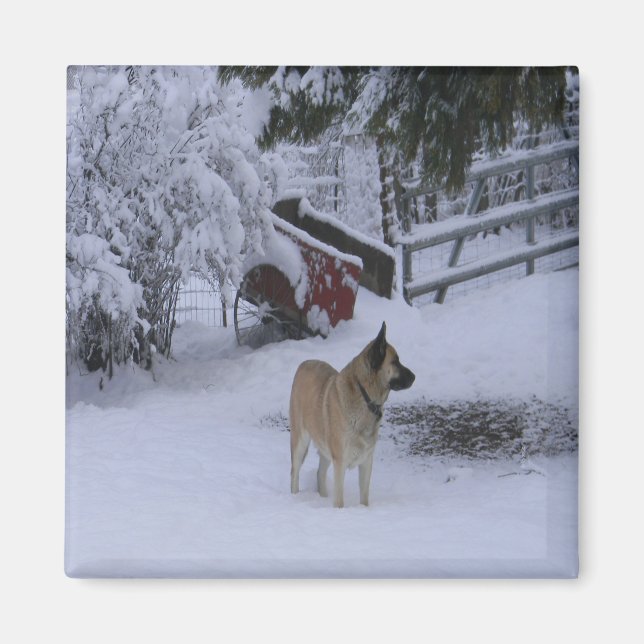 Aimant Heure d'hiver..... (Devant)