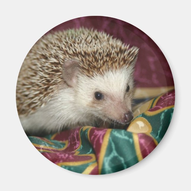 Aimant hh standard (Devant)